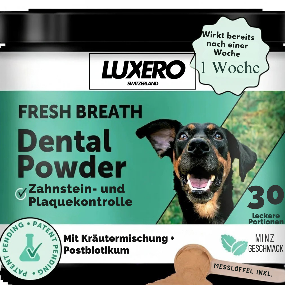 CleanTeeth | Dental Pulver gegen Mundgeruch