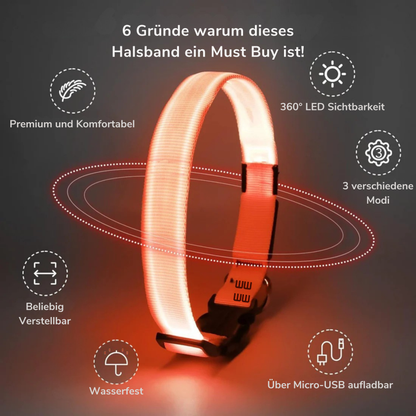 LuxeLight Halsband | Dein Hund in Sicht