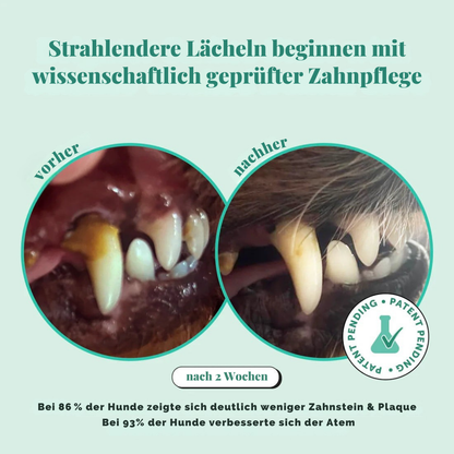CleanTeeth | Dental Pulver gegen Mundgeruch