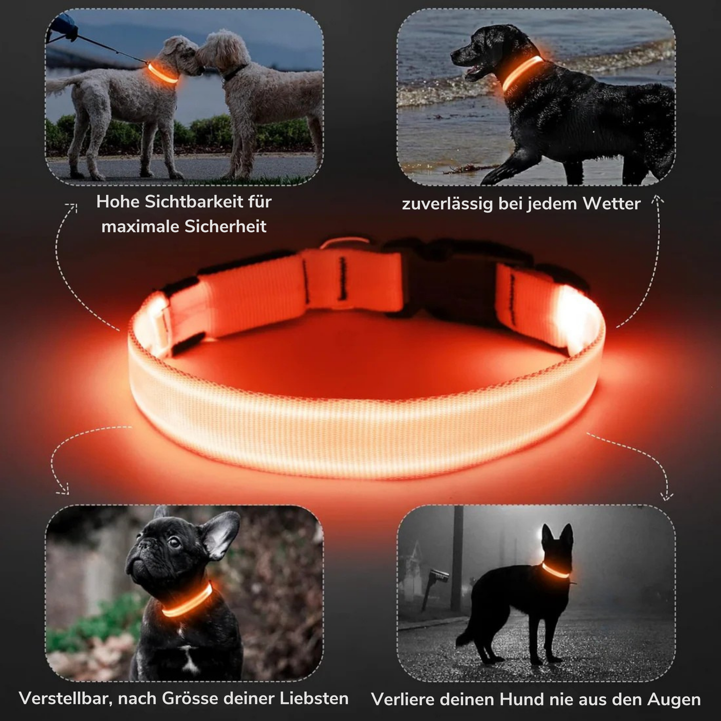 LuxeLight Halsband | Dein Hund in Sicht