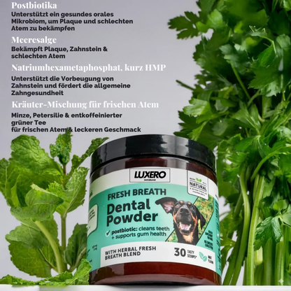 CleanTeeth | Dental Pulver gegen Mundgeruch