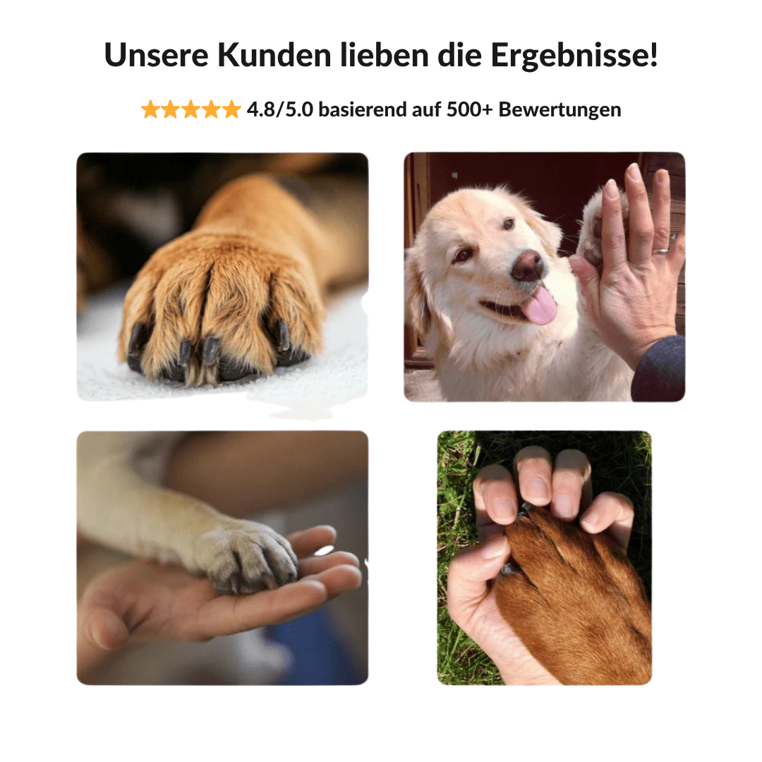 LuxeTrim | Hundepflege neu definiert