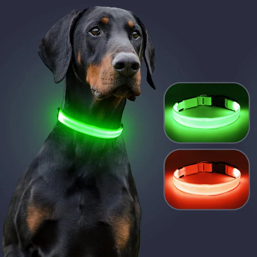 LuxeLight Halsband | Dein Hund in Sicht