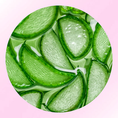 VelvetSkin Elixir | Natürlich glatte Haut. Dauerhaft schön.